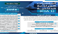 إعلان دورة اساسيات المراجعة الداخلية
